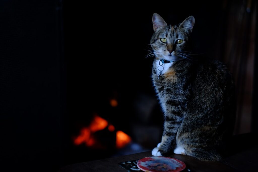 A family gathers near the front door with their pets and pet carriers during a home fire safety drill.